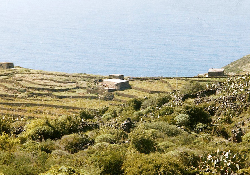 Gualtiero Turati - Pantelleria panorama
