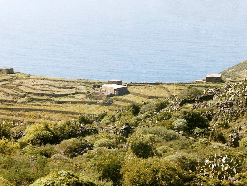 1979-PantelleriaTP–Dammusi-a-Sateria-1